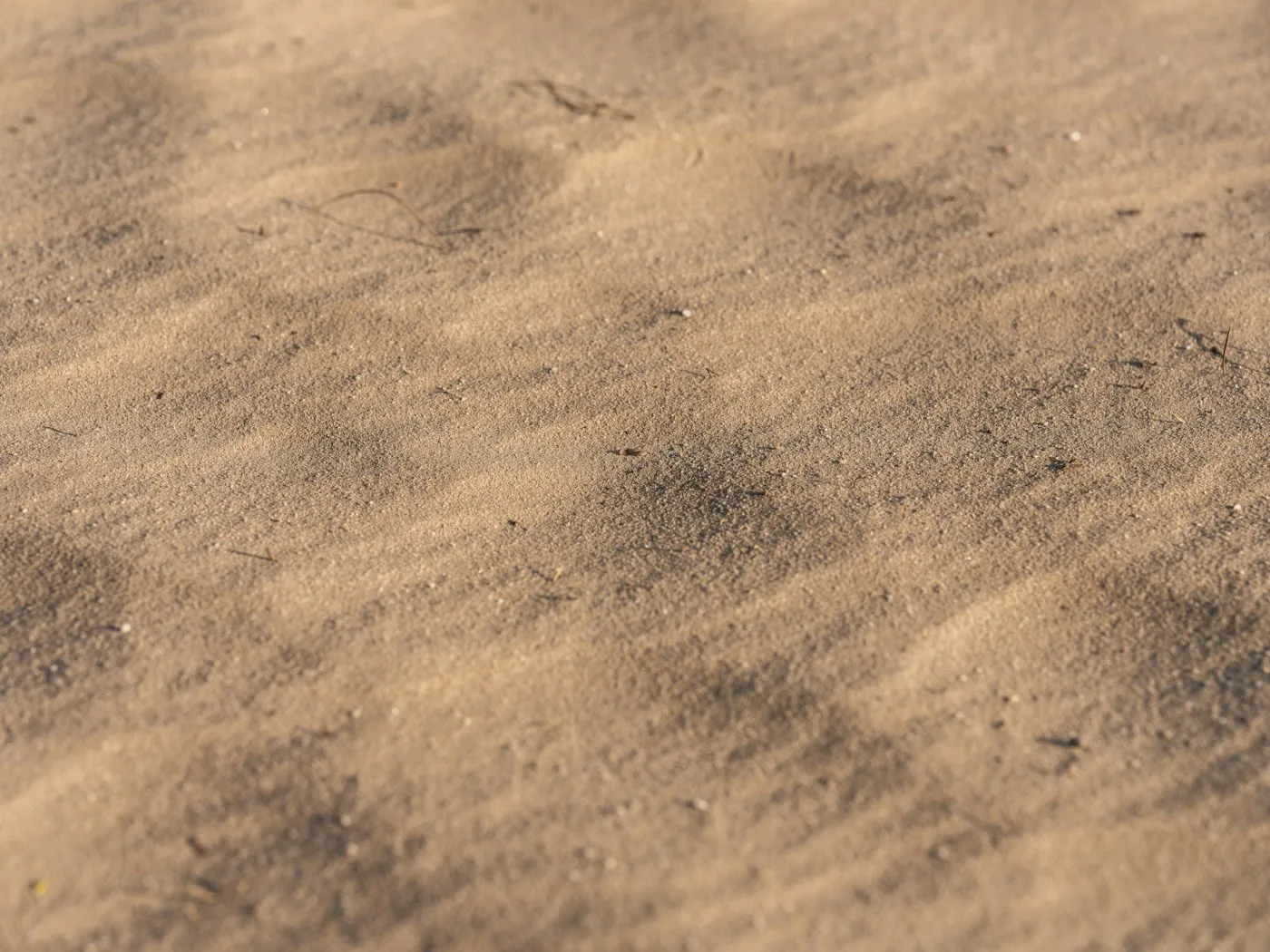 Close view of exposed soil texture